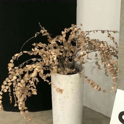 河津FurryQQ群介绍
